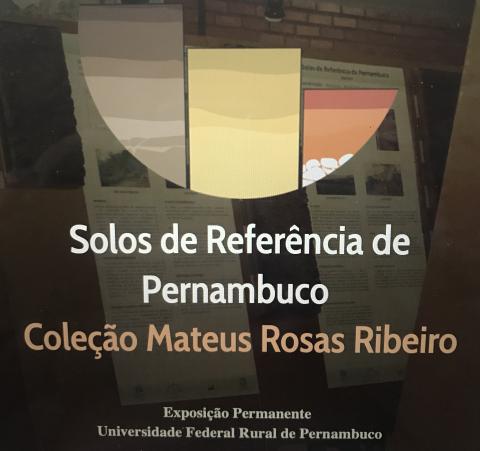 SOLOS DE REFERÊNCIA DE PERNAMBUCO - Coleção Mateus Rosas Ribeiro